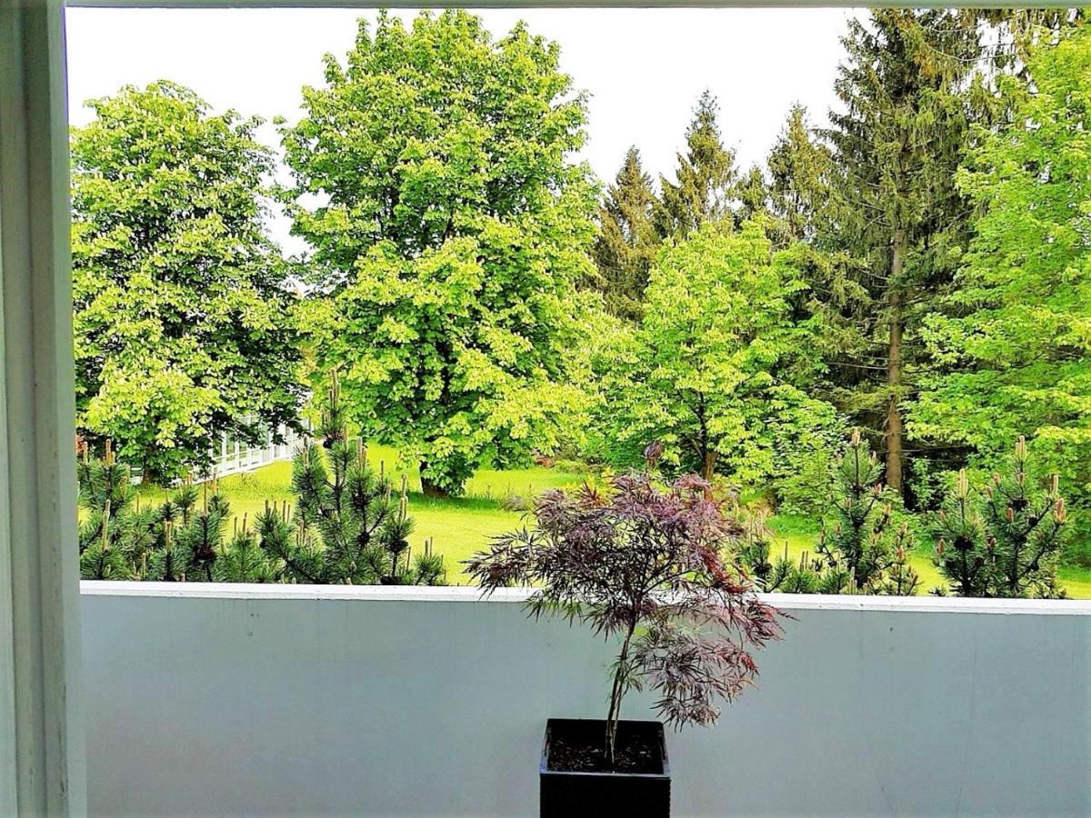 Grossdorf Ferienwohnung Waldsuite Im Harz Goslar Exterior foto
