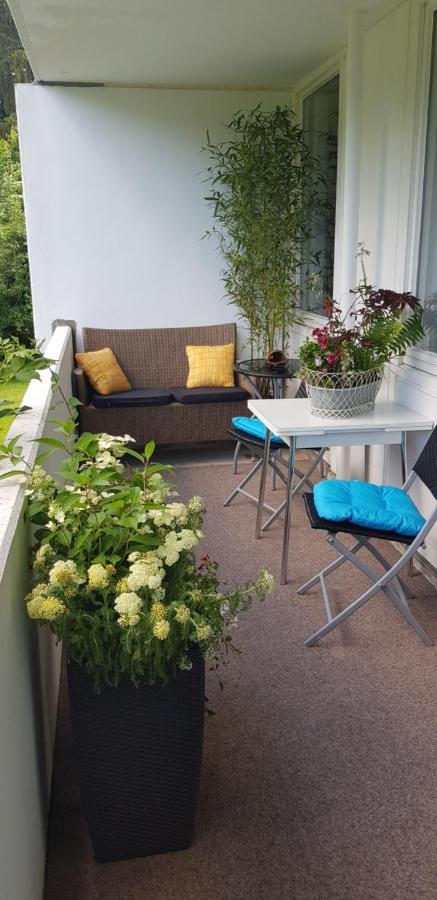 Grossdorf Ferienwohnung Waldsuite Im Harz Goslar Exterior foto